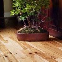 Garrison Deluxe Wood Flooring at Discount Prices